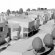 Architectural Designer Jobs