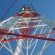 Cell tower Construction Companies