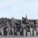 Landscape Architectural model