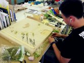 Landscape Architecture Masters