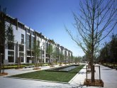 Sustainable architecture firms