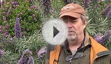 Landscape Architecture