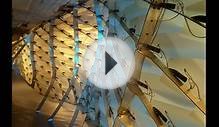 Reef - An Installation at the Storefront for Art and