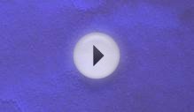 Weather (Un)Control with Storefront for Art and